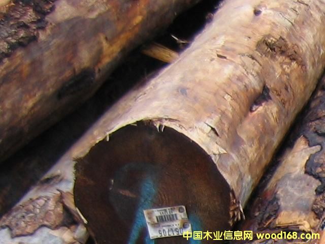 ���ô���ɼԭľ��Ԕ��(x��)��B