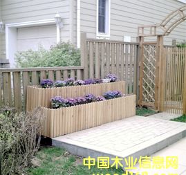 CCA����ľ����