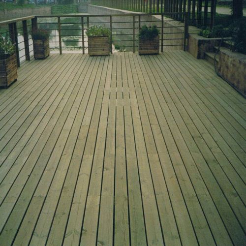 �Fɼ����ľ��Ԕ��(x��)��B