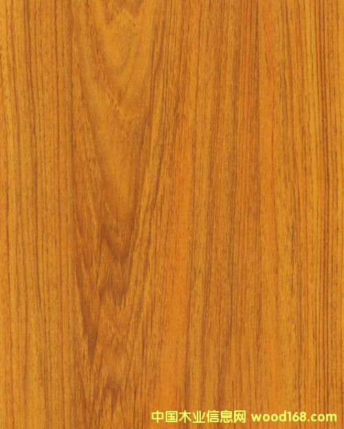 ��Ȼ���L(f��ng)�������ذ��Ԕ����B