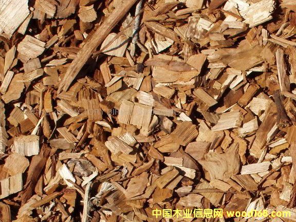 ľ���Ԕ��(x��)��B