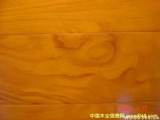 ��ľ��ɽ�yľƤ��Ԕ��(x��)��B