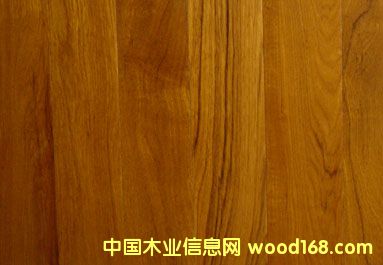 ̩��ľƤ��Ԕ��(x��)��B