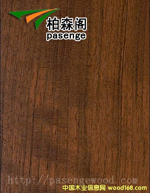 ����ľ��Ԕ��(x��)��B