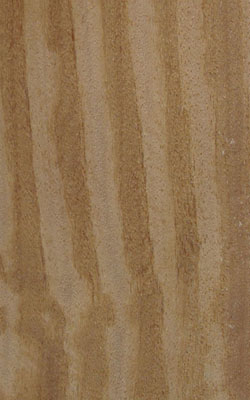 ���L(f��ng)̴(���ᶹ)cumaru��Ԕ��(x��)��B