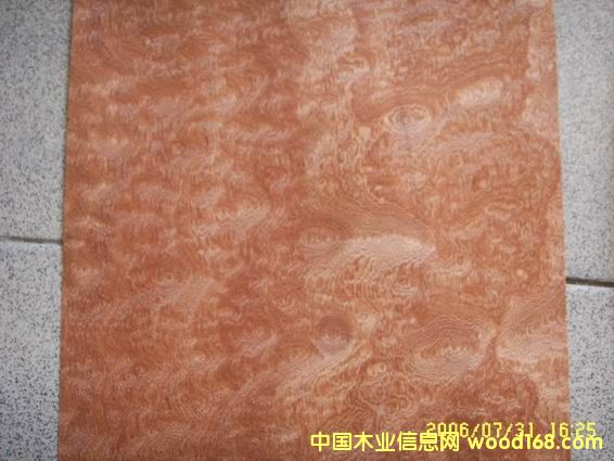 ����ɳ����ľƤ��Ԕ��(x��)��B