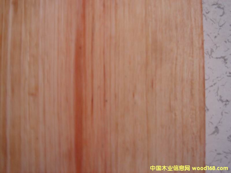 ����ľ��Ԕ��(x��)��B