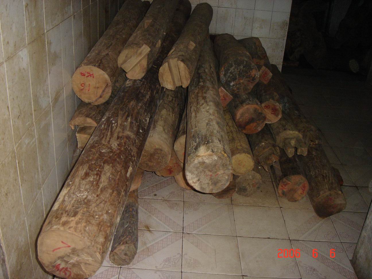 �S�����f������������Ԕ��(x��)��B