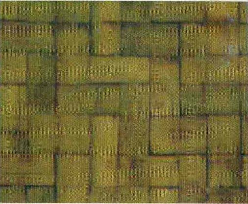 ���z�ϰ��Ԕ����B