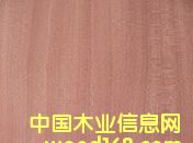 ��Ȼɳ������Ԕ��(x��)��B