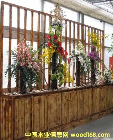 ����ľ��Ԕ����B