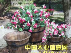 ͥ�@����Ʒ