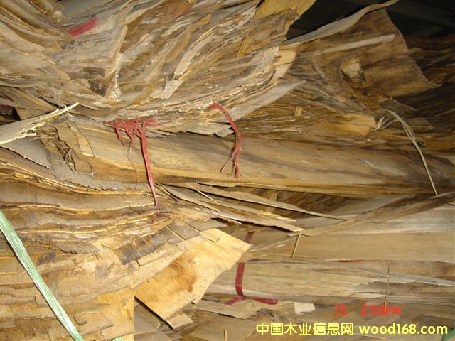 �z�ϰ�; ľƤһ����Ԕ����B