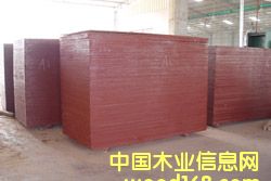 ����ģ���Ԕ��(x��)��B