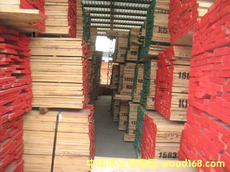 �t�����Ԕ��(x��)��B