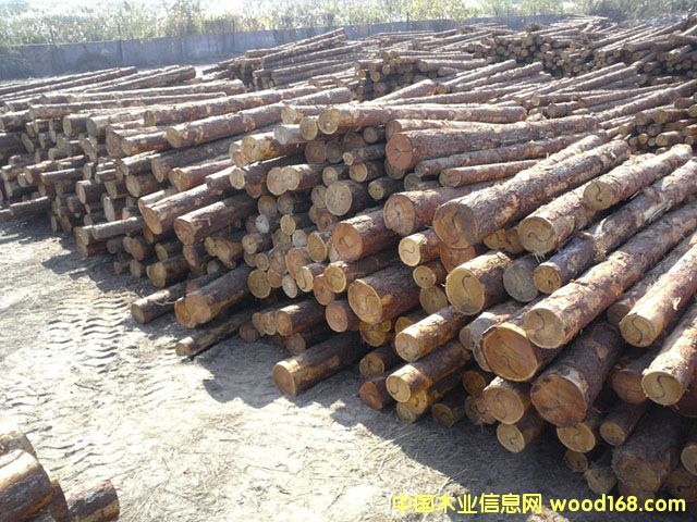 �����ɵ�Ԕ��(x��)��B