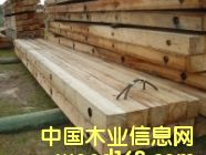 ��(sh��)ľ䏲ĵ�Ԕ��(x��)��B