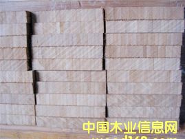 ������ë���