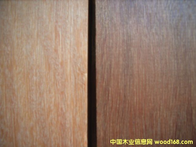 �Ĵ������t�񼯳ɲİ����ɫ��Ԕ��(x��)��B