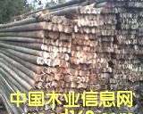 ��ܰ��Ԕ��(x��)��B