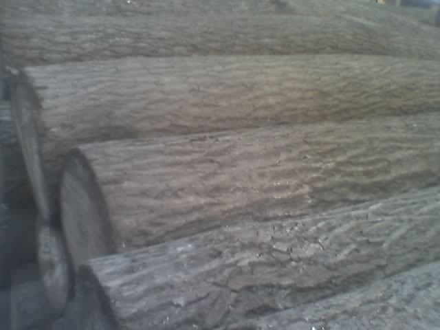 �ľA��(j��)��Ԕ��(x��)��B