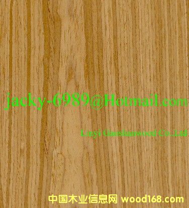 ��ľ�Ļ���Ԕ��(x��)��B