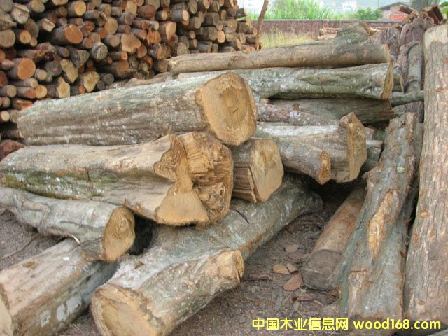 ԭľ:�����Ԕ��(x��)��B