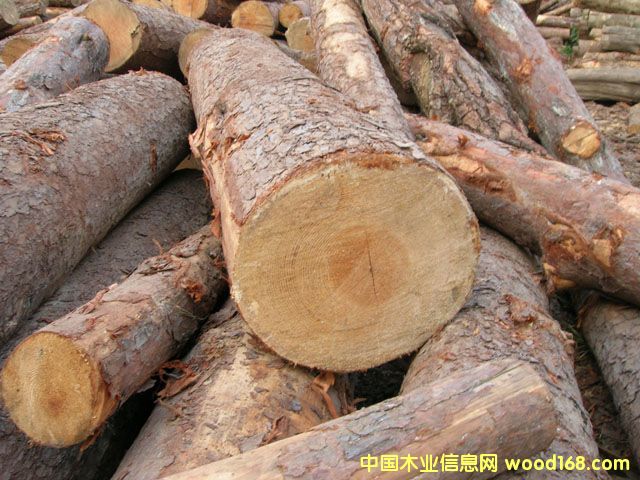 ԭľ:�Rβ�ɵ�Ԕ��(x��)��B