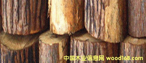 ɼľ��Ԕ��(x��)��B