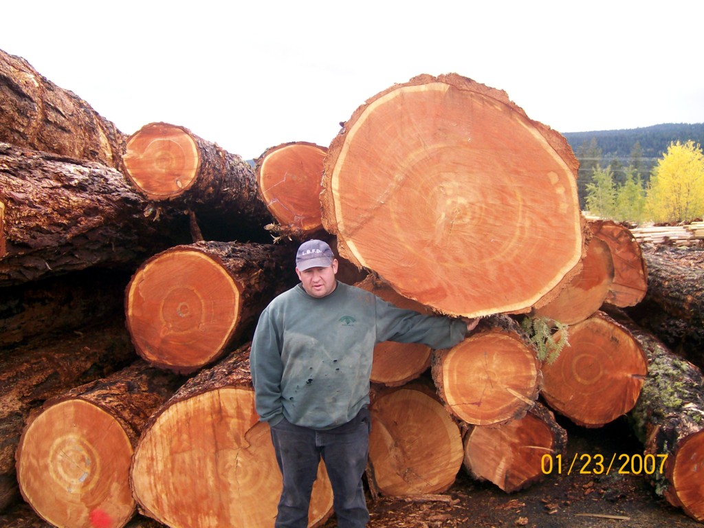 60cm up ���ô�����ԭľ��Ԕ��(x��)��B