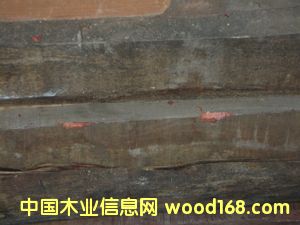 ��t��֦��Ԕ��(x��)��B