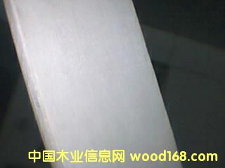 ���l��Ԕ��(x��)��B