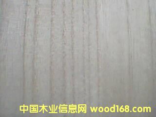 ͩľ�Mƴ���Ԕ��(x��)��B