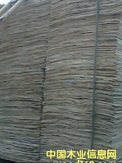 ͩľ�ΰ��Ԕ��(x��)��B