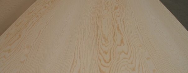 ����(y��ng)��ľ�z�ϰ�