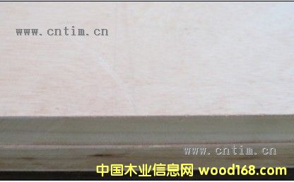 ����(y��ng)ɼľ��(x��)ľ�����Ԕ��(x��)��B