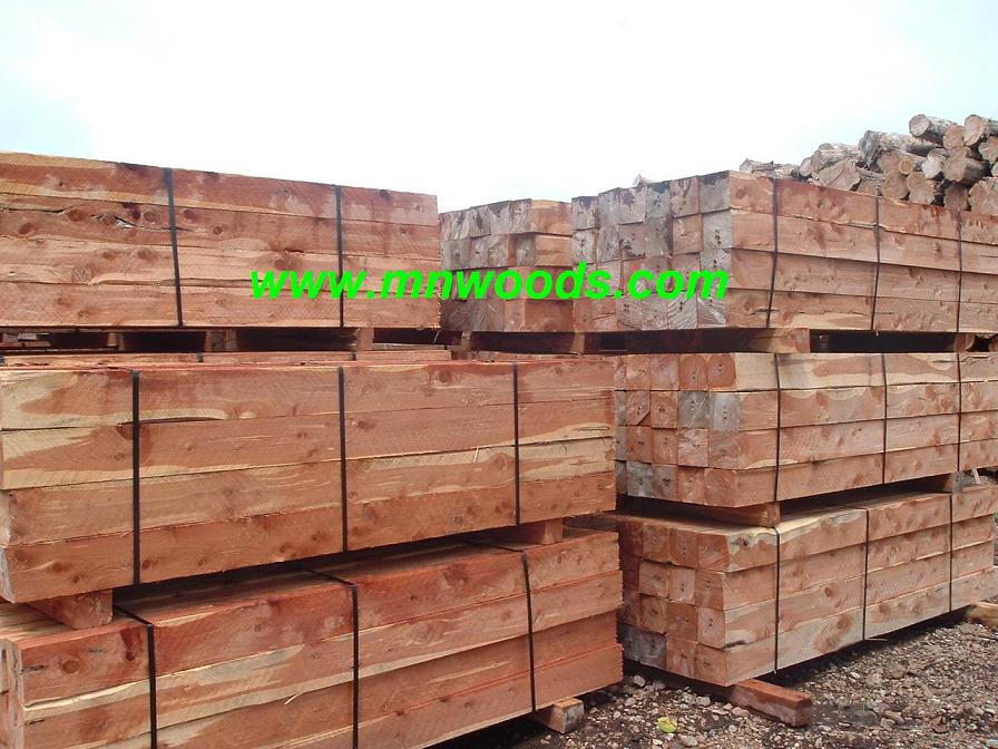 �t��ɼ��Ԕ����B