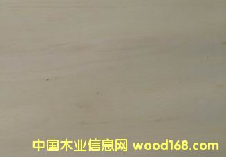 ������а�Ƥ��Ԕ��(x��)��B