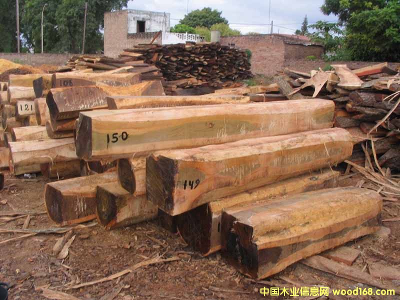 ��ρľ��Ԕ����B