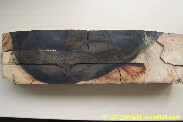 ����������ľ��Ԕ��(x��)��B