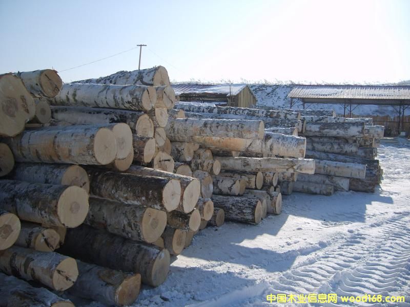 ���������ט�