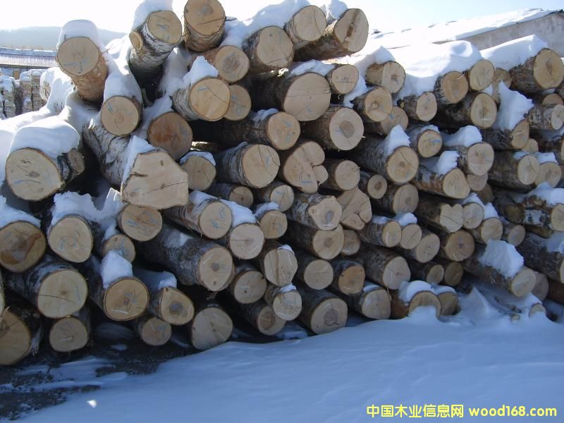 �h(yu��n)�|�ט�