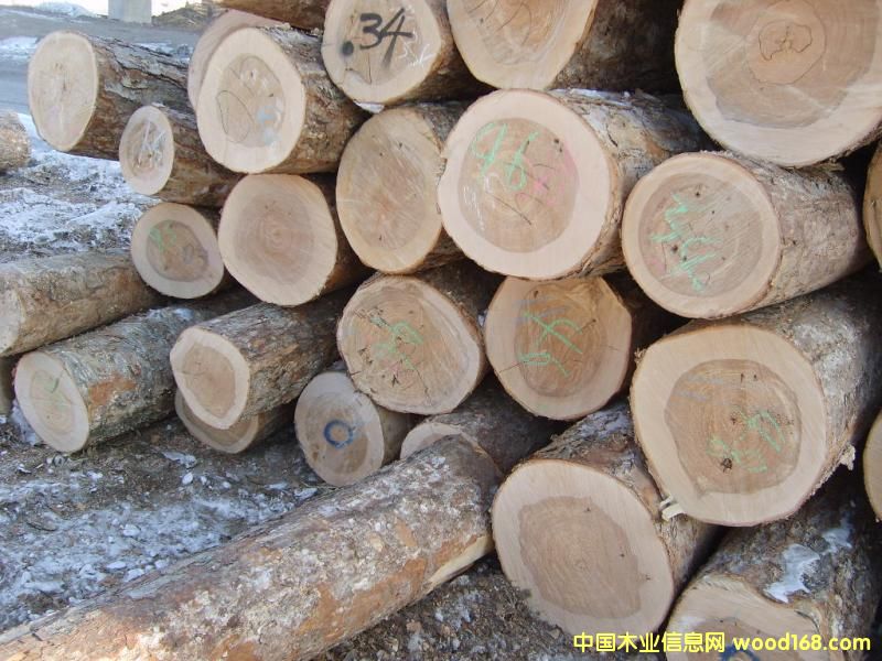 ���_˹����4