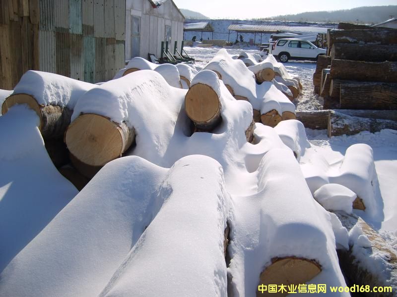 �h(yu��n)�|�ט�1