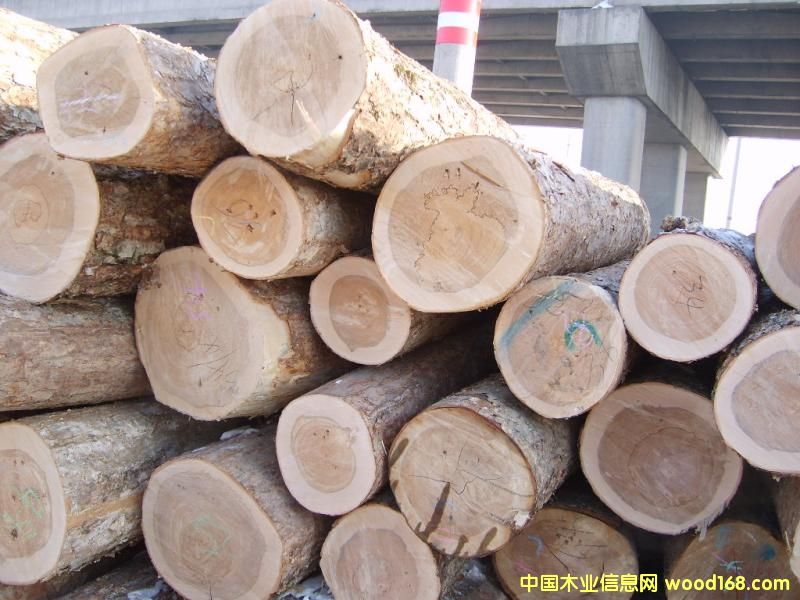 ���_˹����3