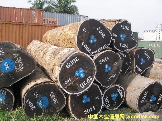 �u��ԭľ��Ԕ��(x��)��B