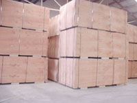 �߼�(j��)��ľ�����z�ϰ��Ԕ��(x��)��B