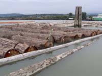 ��ڏ�������ԭľ��Ԕ��(x��)��B