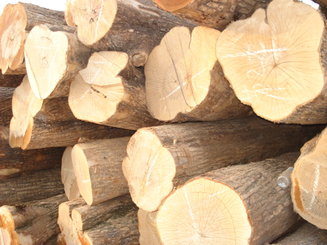 ��ľ����ľԭľ��Ԕ��(x��)��B