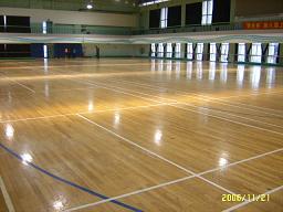 ��ľ��Ԕ����B